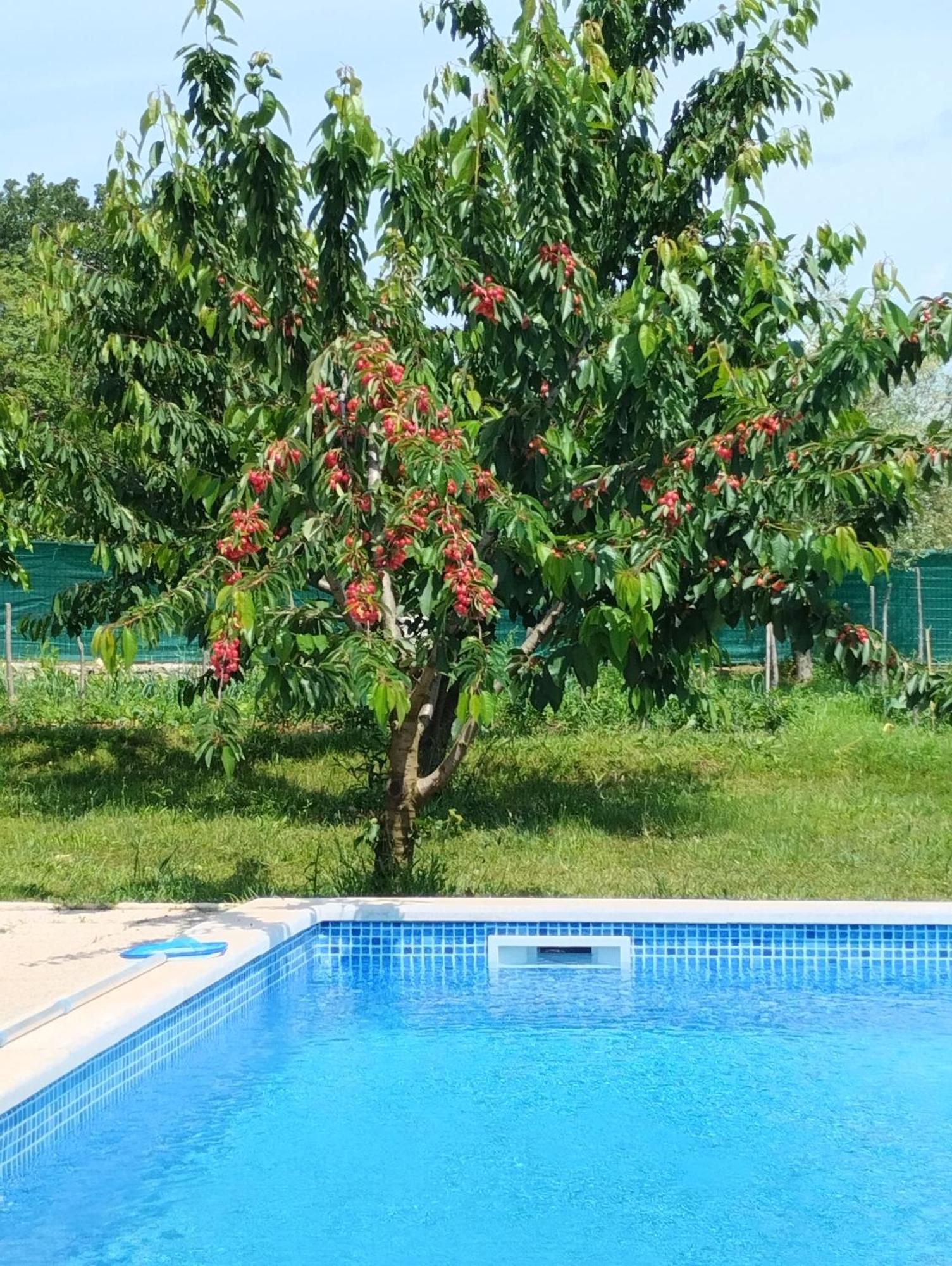 Stanzia Santa Brigida Villa Rovinj Eksteriør billede